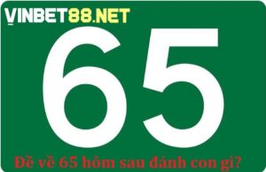 Đề về 65 hôm sau đánh con gì được quan tâm