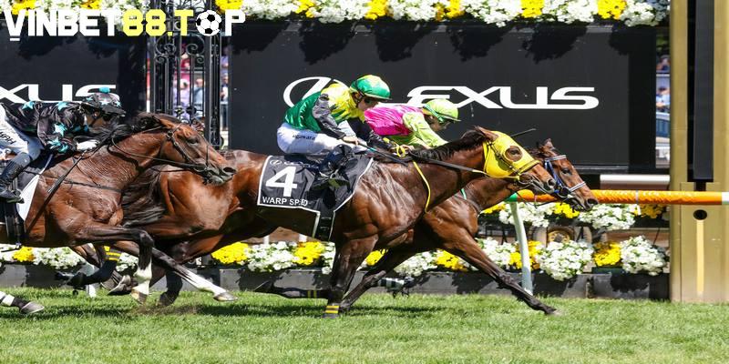 Melbourne Cup là cuộc đua ngựa nổi tiếng tại Úc
